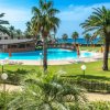 Piscina circondata da palme, con vista sul mare e lettini.