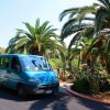 Furgone blu su strada con palme e vegetazione intorno.