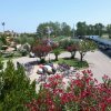 Parcheggio con biciclette e alberi fioriti.
