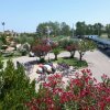Parcheggio con biciclette e auto, circondato da alberi e fiori.