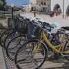 Bici parcheggiate in fila accanto a un edificio con archi, fiori e un prato.