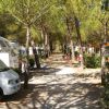 Camper in una strada alberata in campeggio.