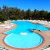Piscina a forma irregolare circondata da lettini e ombrelloni bianchi, con alberi sullo sfondo.