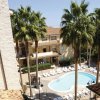 Piscina circondata da palme e lettini.
