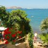 Terrazza sul mare con tavolo e sedie, fiori rossi e vista su una spiaggia e mare.