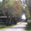 Viale alberato con capanne in legno e persone in lontananza.