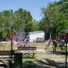Area giochi con altalene, bambini che giocano, tavoli da picnic e alberi sullo sfondo.