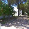 Un sentiero ombreggiato tra alberi e cespugli fioriti in un residence.