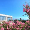 Una terrazza con casa modulare, cespugli di fiori rosa e vista sul mare.