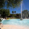 Una piscina con fontane e alberi sullo sfondo.