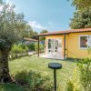 Casetta gialla con patio, giardino verde e albero d'ulivo.