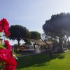 Giardino verde con alberi, rose rosse e un'area coperta.