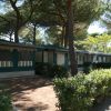 Bungalow immersi tra alberi e cespugli.