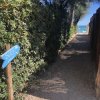 Sentiero stretto tra siepi verso la spiaggia.