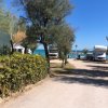 Strada alberata verso il mare con camper.