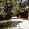 Un vialetto con casette di legno ai lati, circondato da alberi.