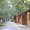 Un viale alberato con case di legno lungo il percorso.