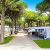 Strada acciottolata tra piazzole con roulotte e tende all'ombra di alti alberi verdi.