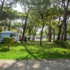 Un'area di sosta per camper in un parco alberato con prato verde.